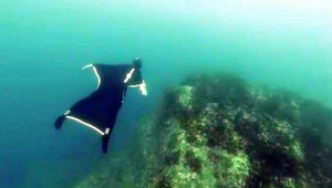 VIDEO. Prvý let človeka pod vodou! Vďaka takémuto obleku...
