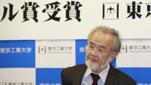 Nobelova cena za medicínu: Získal ju Japonec Jošinori Ósumi