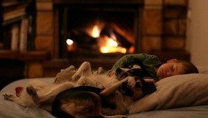 Nočná tragédia. Pri prestrelke trafila guľka spiaceho chlapca (†6)