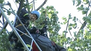 Paraglajdista pristál na strome