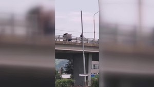 VIDEO: Dramatická záchrana v Humennom. Muž chcel skočiť z mosta