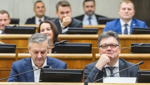 Poslanci schválili zákon o pobyte cudzincov, ale aj dotačnú pomoc organizáciám venujúcim sa domácemu násiliu