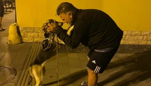 Cudzincovi sa v Trnave stratila fenka. TENTO príbeh a ich opätovné stretnutie vás rozplače