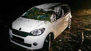 Muža v aute zavalil strom, záchranári ho oživovali takmer hodinu