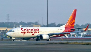 Lietadlo sa pri pristávaní zrazilo so stádom diviakov