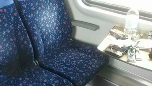 Oheň pod lupou: Prečo horia vlaky a ako tomu predísť?