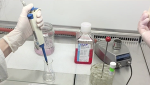 Nachádza sa v  bratislavských kanalizáciach koronavírus? Vodári vykonali prvé testy