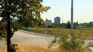 Veľkú mačkovitú šelmu videli už aj v Bratislave