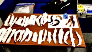 Nožnicový fantóm v hromadnej doprave odstrihával ženám vlasy. Poškodených boli desiatky