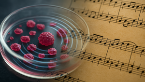 Hudba proti rakovine? Vedci púšťali nádorovým bunkám Beethovena