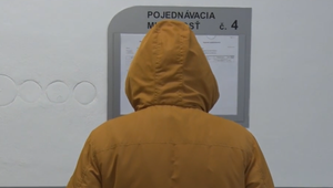 Pod vplyvom alkoholu vyhodil svoju mačku von oknom. Sudkyňa rozhodla o jeho treste