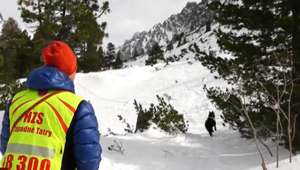 V Tatrách sa konala "vylepšovňa" pre psov-záchranárov