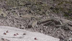 Oddych od horúčav ponúkajú Tatry, no ani Ľadový štít nie je zárukou schladenia