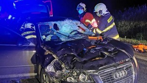 Vážna dopravná nehoda pri Banskej Bystrici: Auto zrazilo jelenicu, mladý vodič sa ťažko zranil