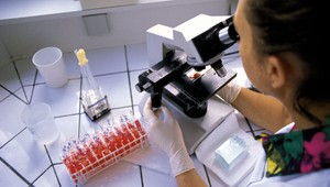 Geológovia objavili stratený ôsmy kontinent. Skrýva sa pod povrchom Európy