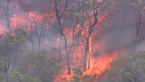 VIDEO: V Austrálii vyhlásili výnimočný stav. Teploty stúpajú, požiaru sú väčšie