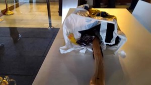 Mladík, ktorý mal sekeru v parlamente tvrdí, že mu štát zničil život a chcel odplatu