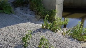 Rybári natočili vylievanie betónu do rieky