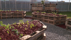 Palety využijete aj v záhrade na veľa spôsobov: Nechajte sa inšpirovať našimi nápadmi!