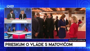 Politický súhrn 24: Vláda a cena pohonných hmôt