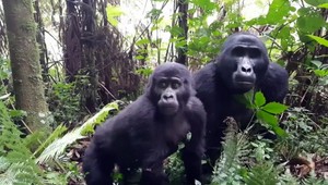 Slovák chce v Ugande vyčistiť prales. Môžete pomôcť aj vy