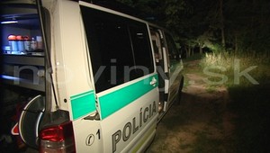 Poľovník zastrelil kolegu (†43), pomýlil si ho s diviakom