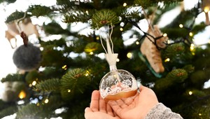 Vianočné želania politikov: Odkazy na pokoj, ale aj potreba myslieť na druhých