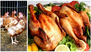 Potravinári stopli predaj nadopovanej poľskej hydiny