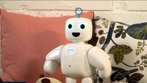 Výnimočný domáci miláčik. Zobudí, oznámi počasie a prehľad správ