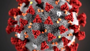 Kedy príde vakcína a ako bude očkovanie prebiehať? Odborníčka vysvetlila detaily