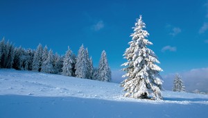 Vieme, aké bude počasie na Vianoce