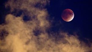 Havarovaná sonda na Mesiac zaniesla extrémne odolné organizmy. Nehodu mohli prežiť