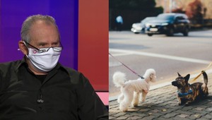 Psičkári, zbystrite pozornosť: V Rusku prijali kuriózny zákon! Vtip Milana Kňažka vás rozseká!