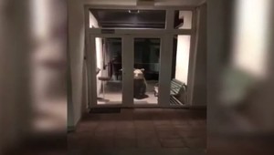 Mesto Vysoké Tatry bojuje s premoženými medveďmi. Primátor navrhuje aj radikálne riešenie