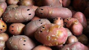 Kotleba, Klus a pár zemiakov