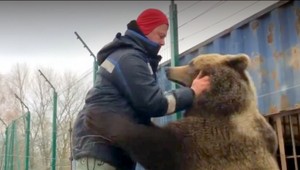 Domáci miláčik, ktorý býva na letisku. O 250 kg chlpáča sa starajú piloti