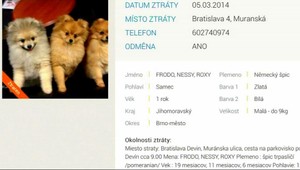 Psí detektív našiel zlodejov extrémne drahých psíkov