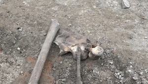 Pri rekonštrukcii námestia našli archeológovia prekvapivý nález