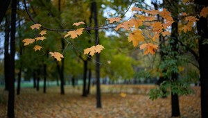 Správu Národného parku Veľká Fatra bude dočasne viesť Roman Fajth
