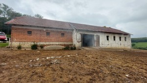 Tragédia v Topoľčiankach: V zadymenej stajni zahynulo 17 žriebät