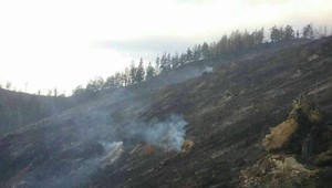 Hasiči pokračovali v hasení požiaru lesa, ktorý zasiahol 9 hektárov