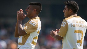 VIDEO. Poslušne hlásim, pavúky vysťahované! To bol ale vinkel!