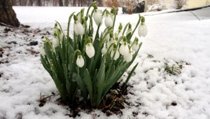 Sklamanie. Jar na Slovensko tak skoro nepríde...