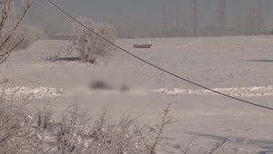 V poli našli ležať mŕtveho muža, pravdepodobne v noci umrzol