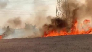 Požiar pšeničného poľa. Zasahovalo takmer dvadsať hasičov