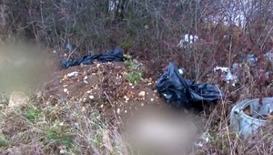 Ženy išli zbierať šípky, našli štyroch uhynutých psov