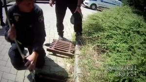 VIDEO: Policajtka pre záchranu kačičiek vošla do kanála dole hlavou