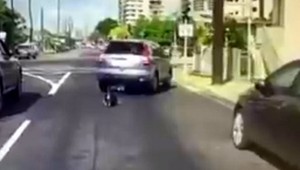 Psa priviazala o auto a ťahala. Zastavila až na semafore