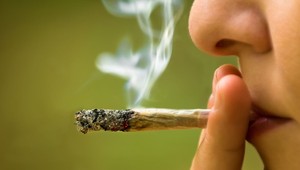 Mozog zničený na celý život. V ohrození sú tínedžeri, ktorí fajčia marihuanu, tvrdia vedci