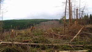 Pred štyrmi rokmi postihla Vysoké Tatry veterná kalamita